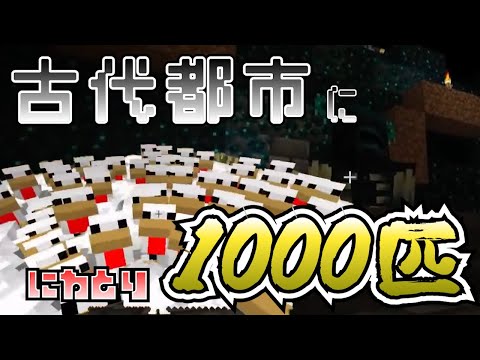 古代都市にニワトリ1000匹放ってみたwww パート3！！すいわな！マインクラフト実況！[マインクラフト]