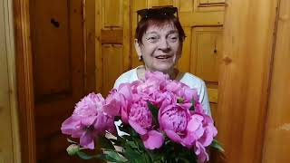 видео