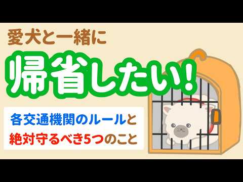 愛犬と一緒に帰省できる？電車・新幹線・飛行機‥交通機関のルールと注意点