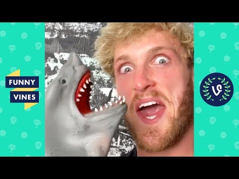 TRY NOT TO LAUGH - FUNNY SHARK PUPPET Videos!