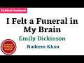 Symbolism and Themes in Dickinson's Poetry