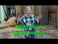 Understanding Warm and Cool Season Plants