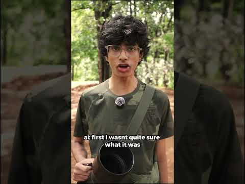 I Photographed the CUTEST animal ever! #wildlifephotography #wildlife #photography