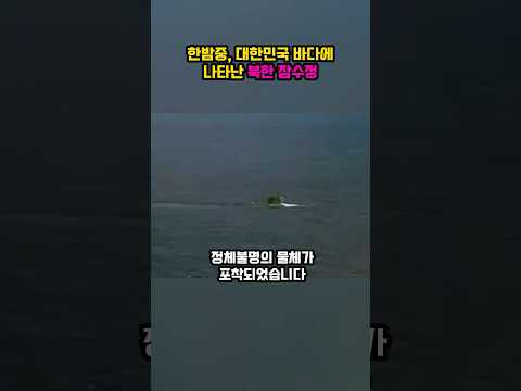한밤중, 대한민국 바다에 나타난 북한잠수정