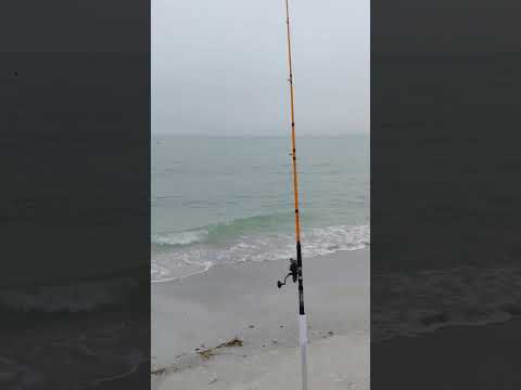 You dont have to spend a ton of money to catch fish video thumbnail