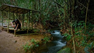 Membangun tempat berlindung hutan tropis dengan pemandian bambu dan bertahan hidup||solo camping
