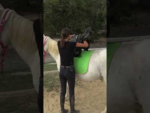 Bd "à cheval" en réalité !