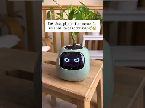 👇✨️Link do produto está na descrição do vídeo