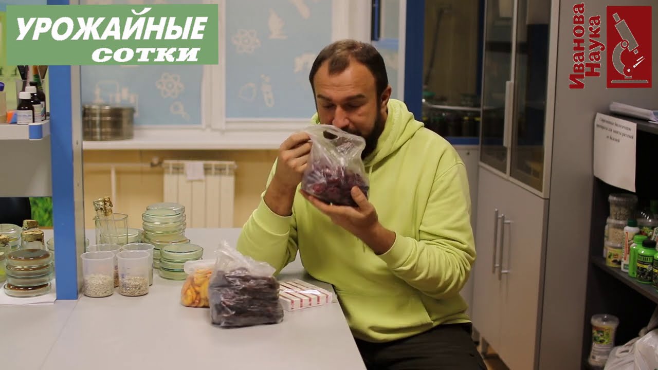 Хватит бояться! Сухофрукты из магазина полезный и вкусный продукт на каждый день!