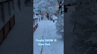 #newyork #storm #snow #weather #brooklyn