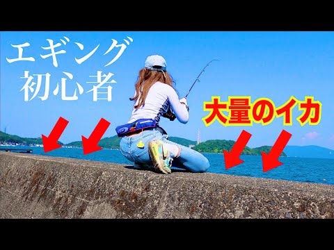 エギング初心者イカが大量に泳ぐ海で釣りしたら・・・