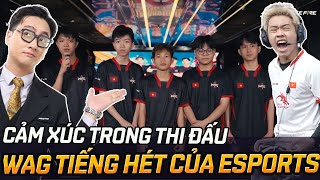 WAG Và Tiếng Hét Trong Ngày Thăng Hạng, Vô Địch Đầy Cảm Xúc Freefire #FreeFire #FreeFireHeHoaNinja