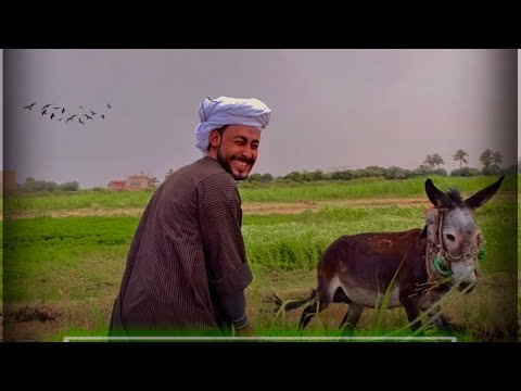قصة حياة المنشد احمد حسن الاقصري