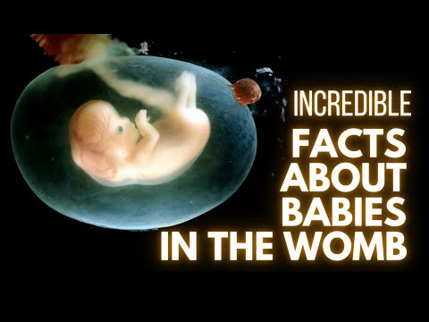 These Random Facts About Babies In The Womb are unbelievable.