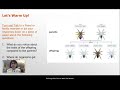 Genetic Traits and Inheritance Concepts