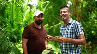 අවුරුදු 5කින් පස්සෙ පටන්ගන්න Business එක