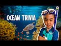Oceans and Their Characteristics