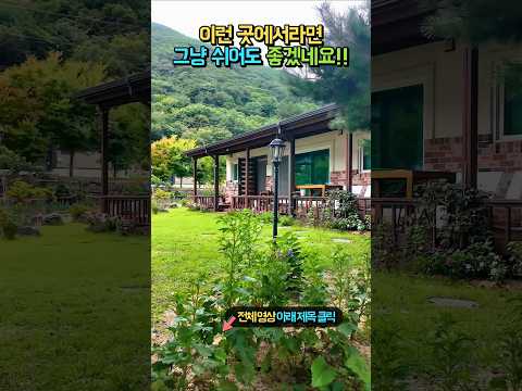 해발 560m 청정 <strong>숲속</strong>!! 더 바랄 것 없는 남향 전원주택 매매 #shorts