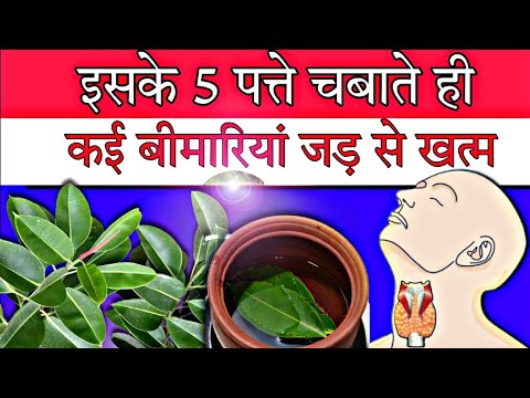 6 रोगों में रामबाण है पत्ता के फायदे जान लो ।Jamun home remedy health benefits। Health tips in Hindi