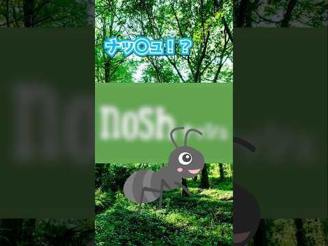 thumbnail_6Qj45sp3LLM