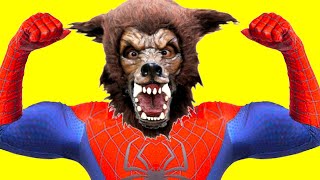 Spider-man vs Joker vs Warewolf, Team Spiderman Batman and Hulk Superheroes in real life