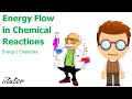 Chemical Reactions and Energy Concepts
