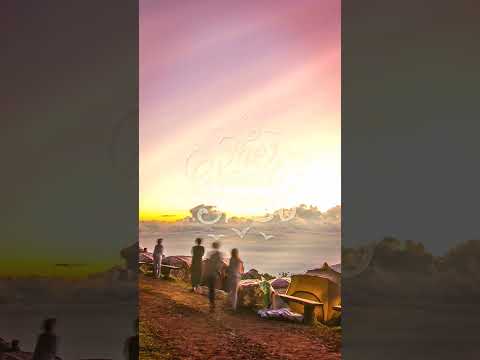 Rhea Silvia - Say Goodbye #shorts