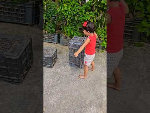 Baby rescued a baby cat #care