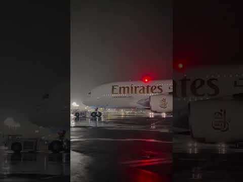 BIG BIRD A380 after bath | #shortvideo #airbus #trending #happy #ytshorts #boeing #a380 #a380f