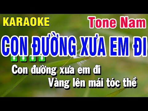 Karaoke Con Đường Xưa Em Đi Nhạc Sống Tone Nam Bm | Beat Huỳnh Anh