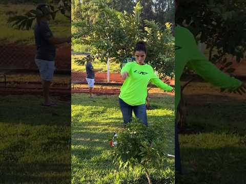 Crazy Girl and the Hot gardener #clips #funny #funnyvideo #epic #girl #crazy #cute #gardener #boy