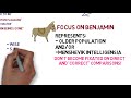 Animal Farm Themes and Concepts