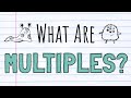 Exploring Multiples and Their Applications