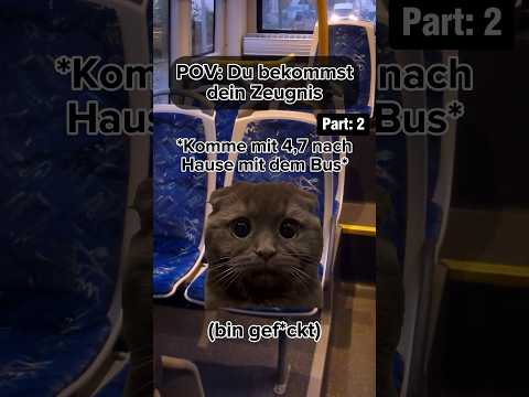 POV: Du bekommst dein Zeugnis😂(Am Ende ist vorbei💀)#catmeme #relatable #povcat #povdog #funny