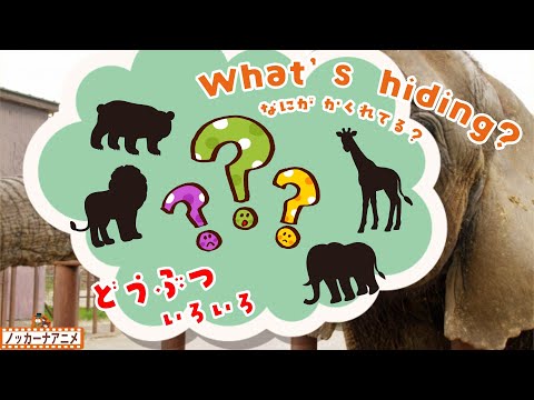 What animal is hiding? | Video for Kids  かくれている動物はなにかな？英語知育アニメ