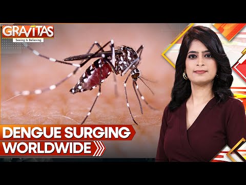 Gravitas: Dengue fever cases surging worldwide, CDC warns of increased risk in US