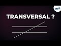 Exploring Angles with Parallel Lines and Transversals