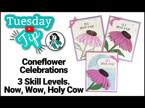 Now, Wow, Holy Cow: Coneflower Celebration Cards Tutorial for Every Skill Level