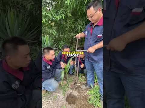 Lo nuevo en tecnología China 🫣
