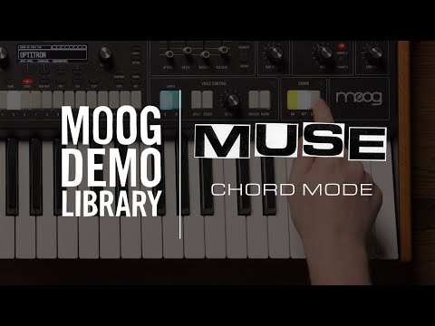 Muse | Chord Mode Performance Controls