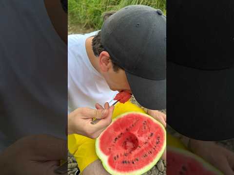 Camping skills #bushcraft #survival #camping #outdoors #forest #shorts