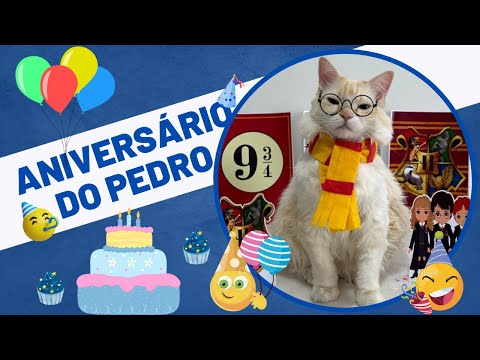 ANIVERSÁRIO DE 6 ANOS GATINHO PEDRINHO