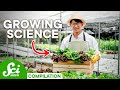 Sustainable Agriculture and Farming Practices