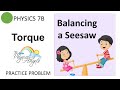 Torque and Forces on a Seesaw