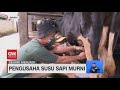 Dairy Farming Practices and Safety