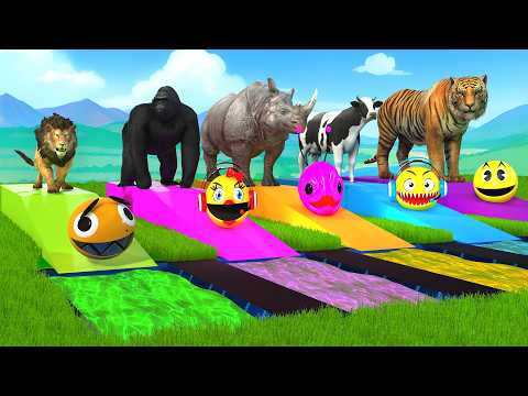 PAC-MAN EVOLVES INTO A LION, THEN INTO A COW, THEN INTO A TIGER.