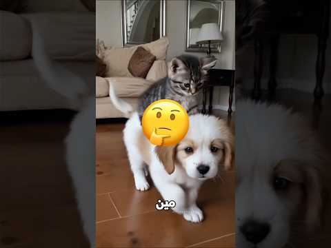 بيت رمل صغير… ومفاجأة كبيرة! 😱🏝️