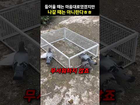 들어올 때는 마음대로였겠지만 나갈 때는 아니란다ㅎㅎ