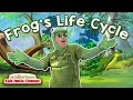 Frog Life Cycle and Metamorphosis
