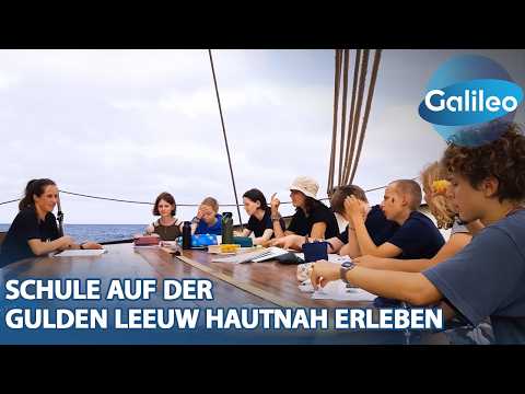 Das Abenteuer ihres Lebens! Lernen auf dem Segelschiff - Unterricht auf offener See